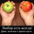    ,          (+ )