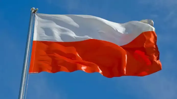 У 22 містах Польщі пройшли акції проти насильства над українцями