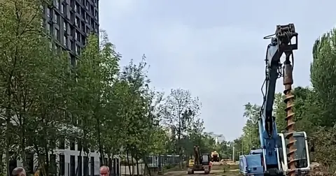 Теремки: у КМДА пояснили роботи в парку після скарг на вирубку