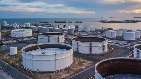 У порту Констанца працівники Oil Terminal готують безстроковий страйк