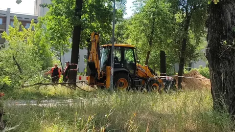 Конфлікт у Києві: активісти проти прокладання тепломережі в парку