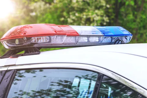 Поліція пояснила законність вирубки дерев у Голосієві
