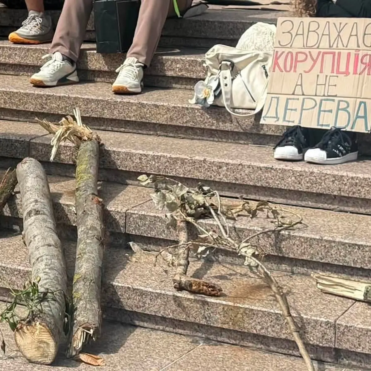 Біля КМДА протестують проти вирубки дерев на Теремках