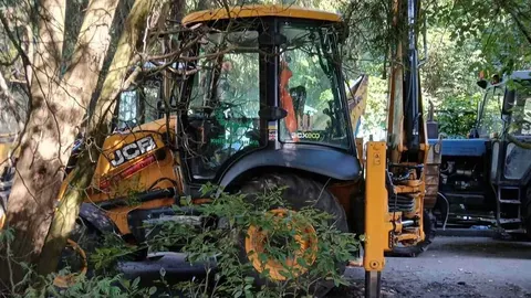 Скандал на Теремках: активістам показали, куди звозять зрізані дерева