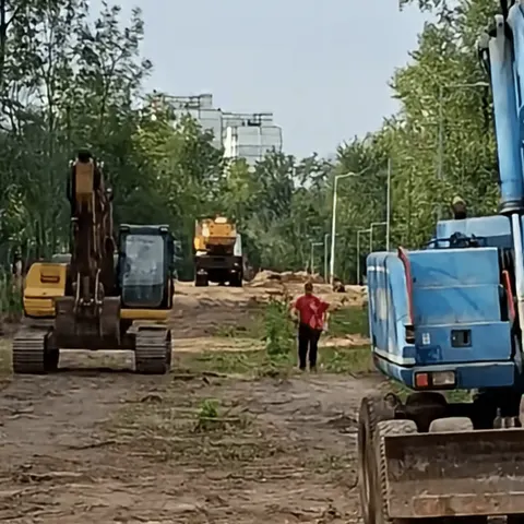 На Теремках відновили вирубку дерев попри обіцяний мораторій