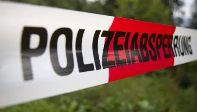 У Саксонії на підстанціях виявили 12 вибухових пристроїв, підозрюють екоактивіста