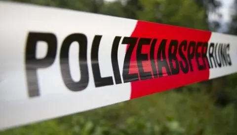 У Саксонії на підстанціях виявили 12 вибухових пристроїв, підозрюють екоактивіст