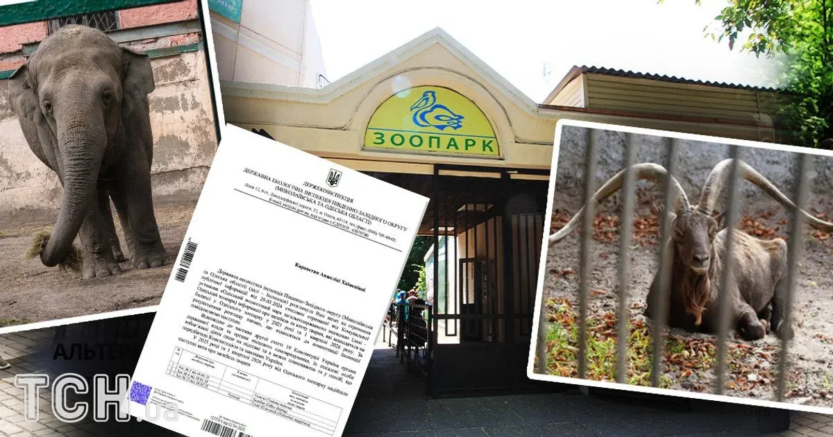 Скандал навколо Одеського зоопарку: 41 тварина загинула за рік, активісти вимагають звітності