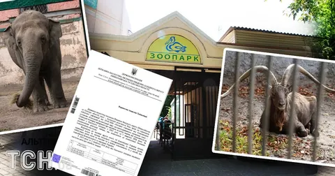 Скандал навколо Одеського зоопарку: 41 тварина загинула за рік, активісти вимага