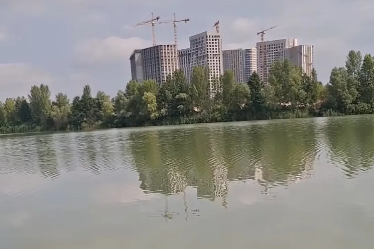 В озері Небреж активісти зафіксували перевищення норм бактерій у тисячі разів
