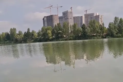В озері Небреж активісти зафіксували перевищення норм бактерій у тисячі разів